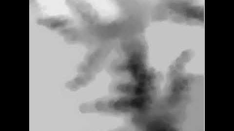 8 Connectivity Flat SE Terrestrial Evolution Source DEM Target DEM