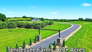 Tennessee Farms For Sale / 29  Acres / Tennessee Real Estate / Forge Attractions Investment BnB