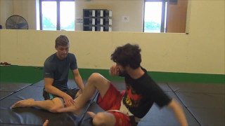 Base Posture Structure BJJ Seminar