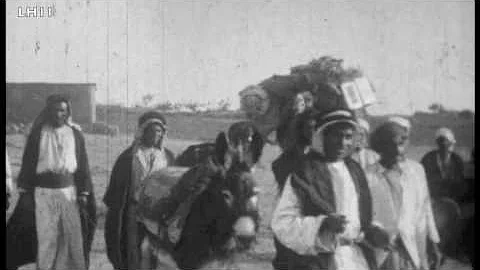 Footage of camels in the Gerald Lankester Harding ...