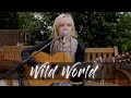 Wild World cover | Cat Stevens