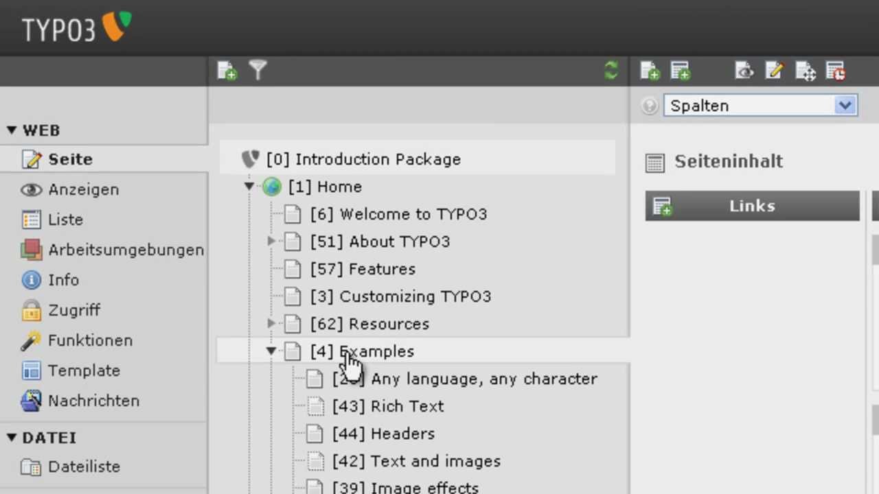 typo3 4.5 typo3 4.5