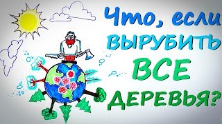 Что,  если вырубить все деревья? — Научпок