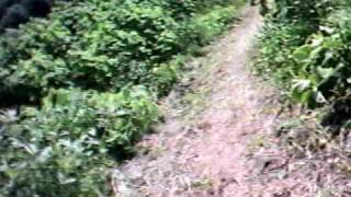 090628TenguyamaDH　1
