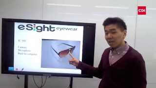 Famous Memory Mega C2 Project Example Unit 1 Lesson 2 - Through the Google Glass Wealth