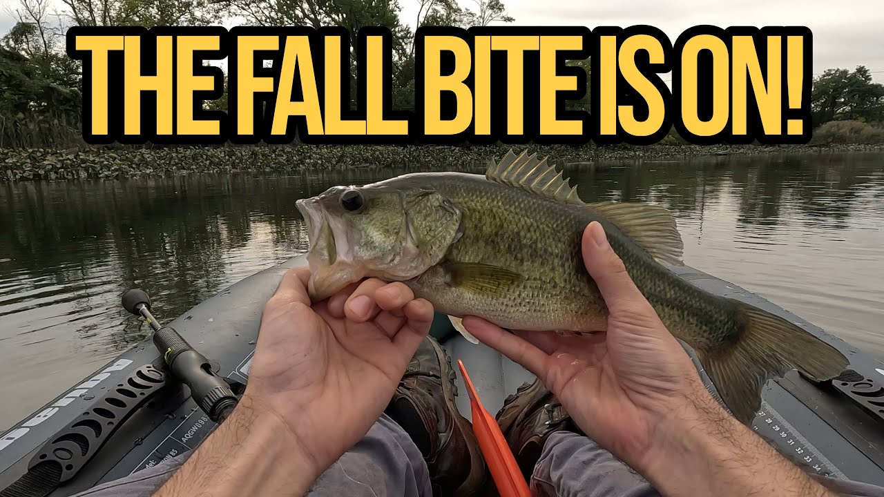 The Fall Bite Is On! – Early Autumn Bass Fishing Madness The Fall Bite Is On! – Early Autumn Bass Fishing Madness