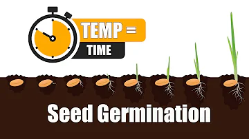 Jak dlouho je příliš dlouhá doba pro klíčení semen?