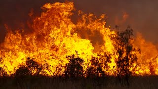 At least one home lost in Currowan blaze, NSW