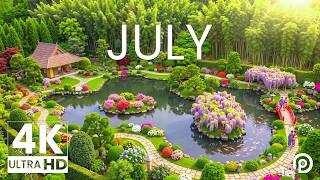 Colorful JULY 4K – The Best of Summer 2026 🌿 Rose Gardens, Hydrangea Season & Morning Sunlight screenshot 3
