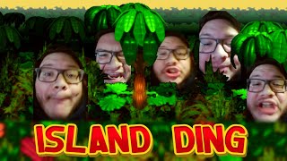 Island Ding (STOP POSTING ABOUT DONKEY KONG full song)