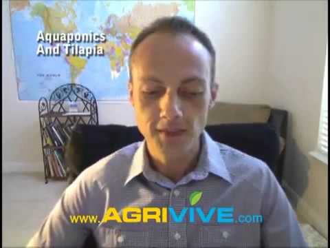 best aquaponics system design, commercial aquaponics