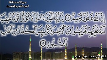 سورة الممتحنة 60| ضمن المصحف المرتل بصوت| محمد عبد الحليم