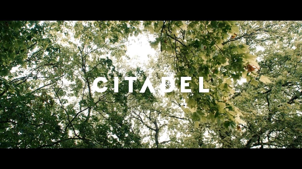 bonobo plaisir Citadel Festival | 2017 Film | Foals, Bonobo & more