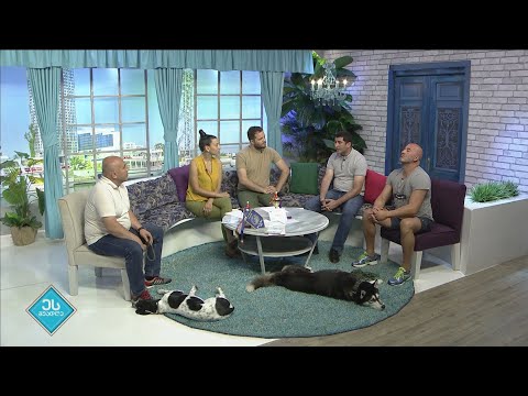 ბათუმში ჯიშიანი ძაღლების გამოფენა  გაიმართა