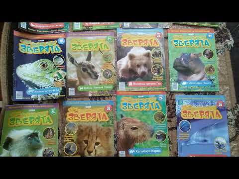 Обзор журналов Твои веселые друзья зверята