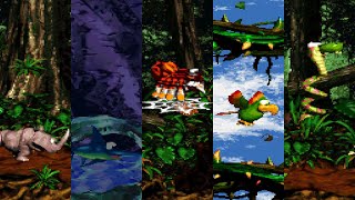 Donkey Kong Country 2: Level 46 (Lost World 5): Animal Antics