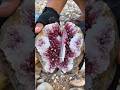 omagattt amazing bro 🤩💥✨ #agate #naturalamethyst #crystals #discovery #colourfulstones #stone #gold