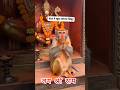 सिन्दूरं रक्तवर्णं च सिन्दूरतिलकप्रिये, ❤️ |Hanuman Sindoor|#trending #jaishriram