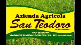 Azienda Agricola San Teodoro