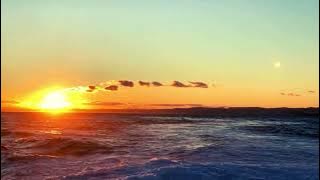 Download lagu WONDERFUL LIFE - MAX OAZO FT CAMISHE ( COVER )