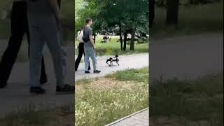 ПЕС робот гуляет по городу