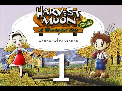 What สูตร อาหาร harvest moon ps2