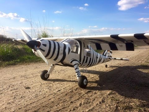 DO 27 D-ENTE Pilot View @Airfield Arheilgen @TheKittyfritz