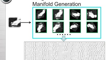 Object Tracking Using Learned Feature Manifolds