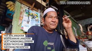 Download Lagu TERNYATA HARGA ASLINYA MURAH😱 PAK MIN JANGKRIK BANDAR JANGKRIK DAN MURAI BATU DI JAKARTA BARAT👍 MP3