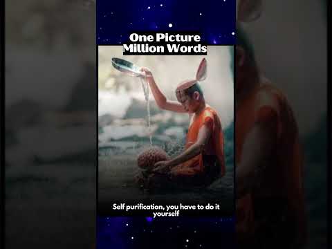 One Picture Million