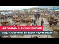 Ardahan Hayvan Pazarı | Dogu Anadolunun En Büyük Hayvan Pazarı