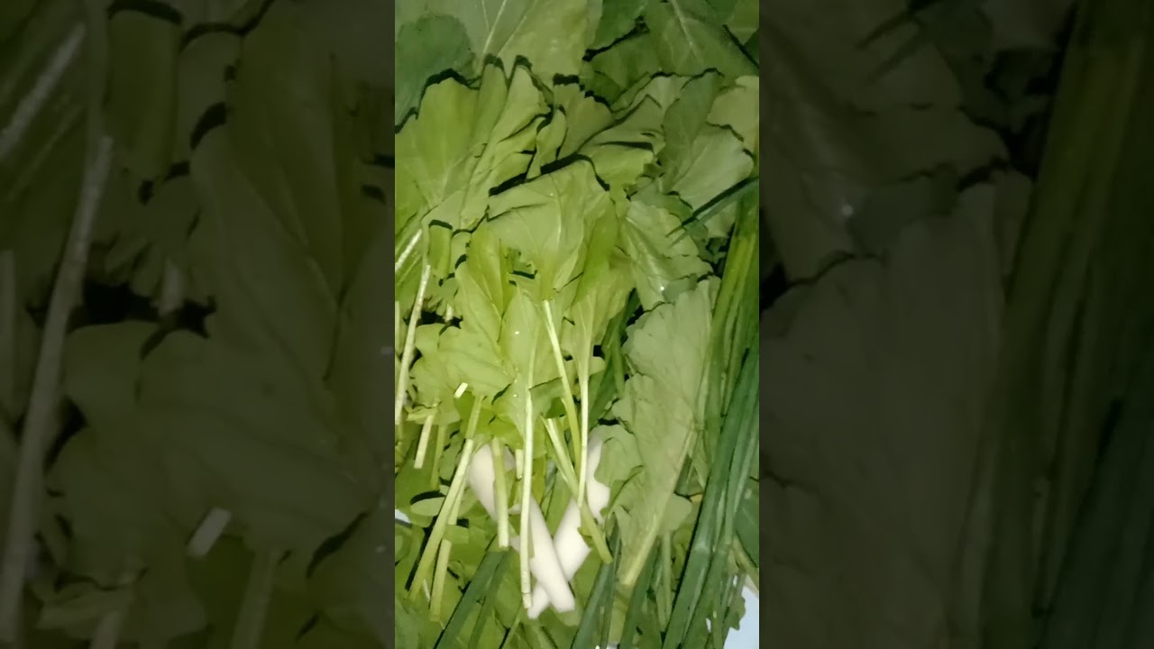 The amazing health benefits of arugula (jerjer)