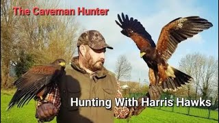 Hunting With Goshawks and Harris hawks screenshot 4