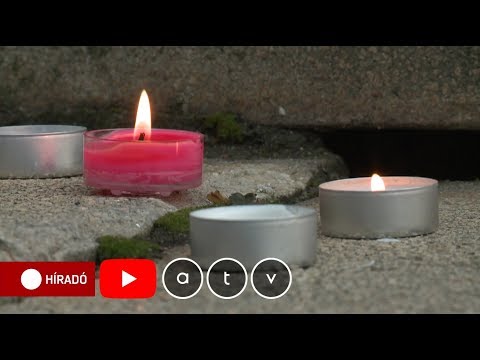 Videó: Kék Varangy Gyilkossági Fájlok