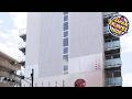 Wild Cherry Blossom HOSTEL,TOKYO KOGANEI | Chofu, Japan | Hotel Review ⭐