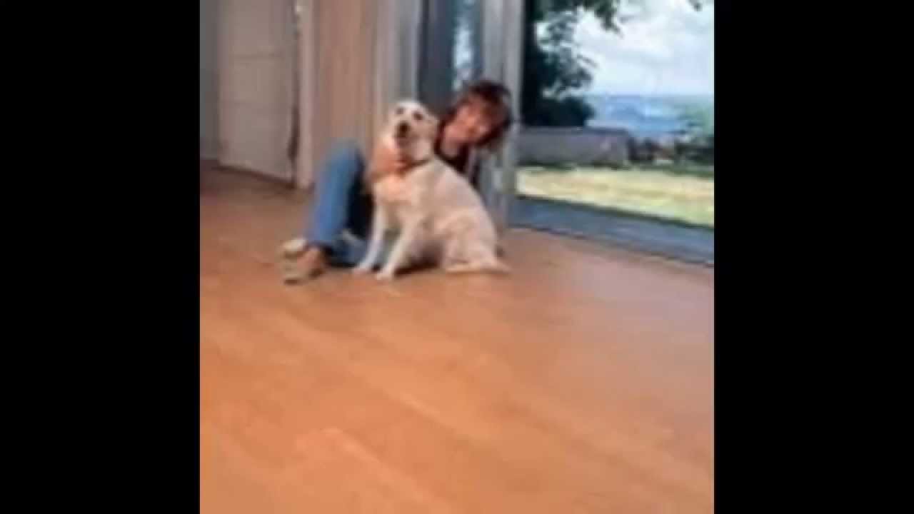 Parke Cilalama Ve Parlatma Nasıl Yapılır Parke Cilalama Ve Parlatma Nasıl Yapılır