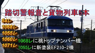 2020/03/01 JR貨物 大谷川踏切から朝貨物5本 1068レに桃トップナンバー機続く1055レに桃新塗装機EF210-2号機