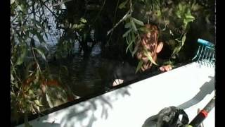 Joint Danube Survey 14.08 -- 20.09 2001