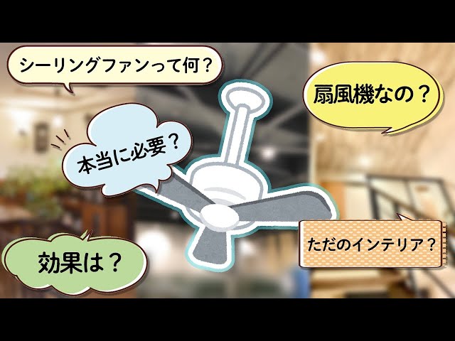 シーリングファン」ってなに？何で涼しくなるの？基本の効果・機能を