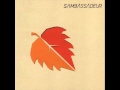 sambassadeur - Ice and Snow