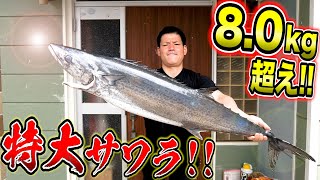 1M越えの巨大魚が網にかかってきたから豪快に舟盛りにして昇天してみた！