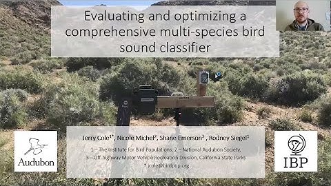 Evaluating and optimizing a comprehensive multi-species bird sound classifier