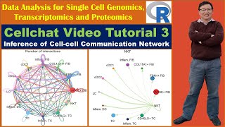 Cellchat Video Tutorial 3: Inference of Cell-cell Communication Network screenshot 4