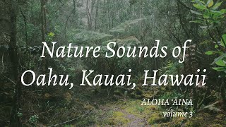 Nature Sounds of Oahu, Kauai, Hawaii: Aloha ‘Āina, Volume 3 // Beaches, Streams, Forests