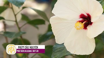 Phút Cầu Nguyện, Thứ Năm 04/12/2025:  Sửa lối đi trong đời