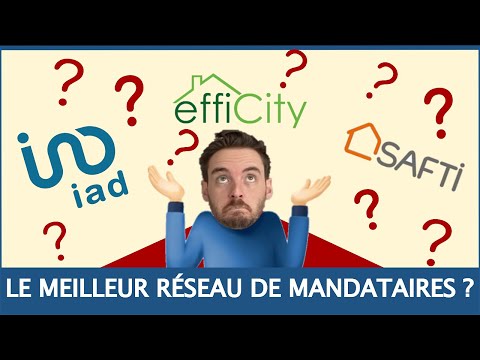 Agent immobilier efficity