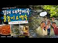 부산에서 30분! 평상비 무료 '김해 대청계곡' 시댁이랑 물놀이+백숙+카페 풀코스 (주차 팁까지!)