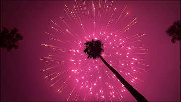 4” Coconut Shell Firework 🥥🌴😍🎆