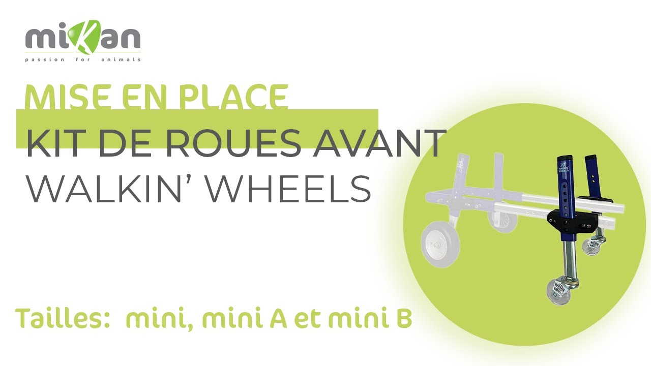 Adapter votre chariot arrière en fauteuil à mobilité complète pour chien avec les kits avant minis