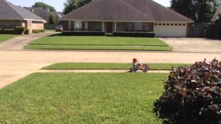 Radio Flyer Big Wheel